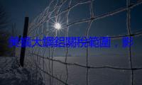 美擴大鋼鋁關稅範圍，影響 407 類產品含兒童座椅