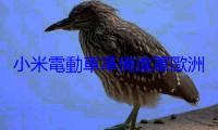 小米電動車準備進軍歐洲，殺進歐洲車廠老家